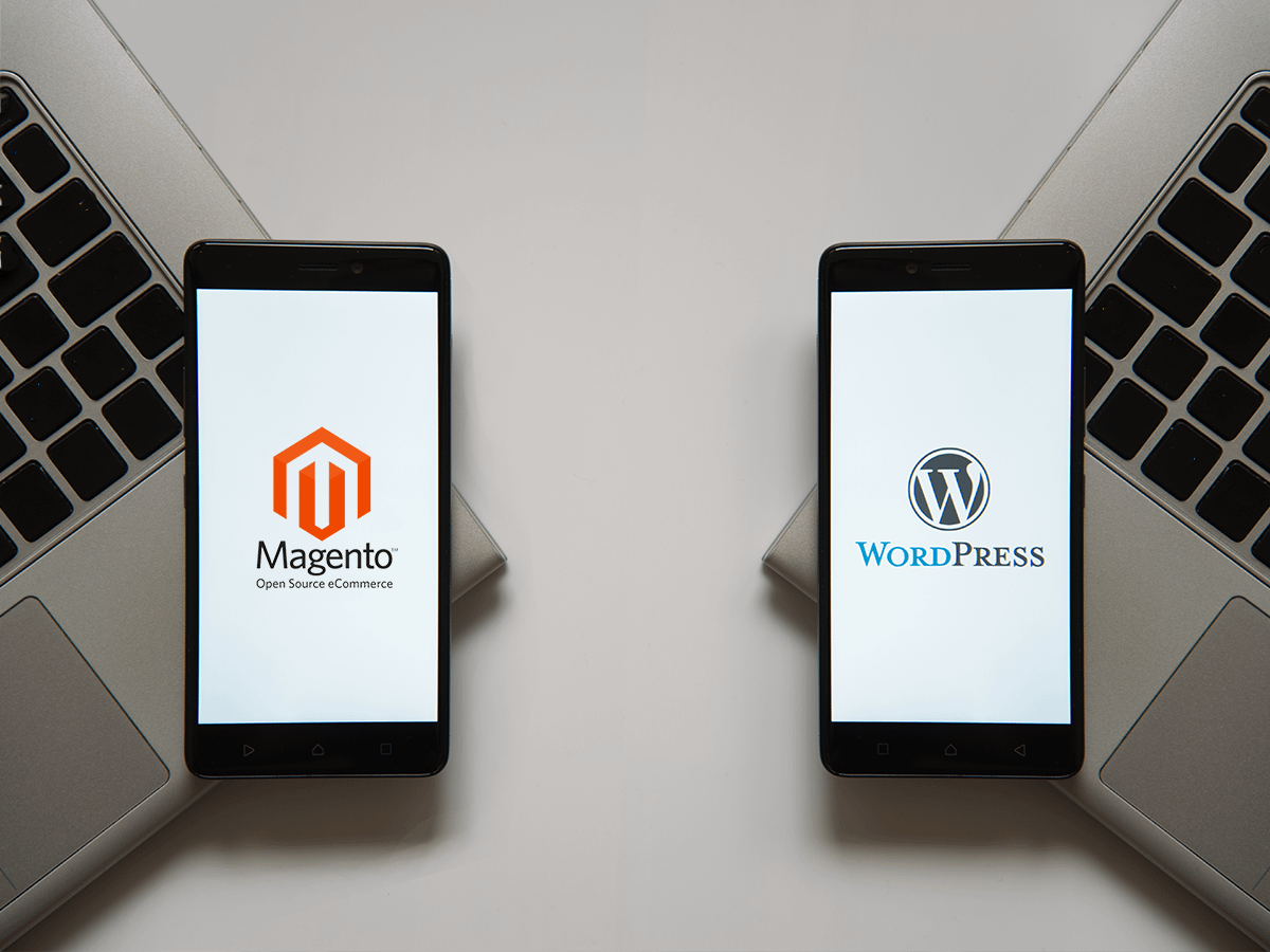 Read more about the article Magento vs WordPress for Your Ecommerce Site
